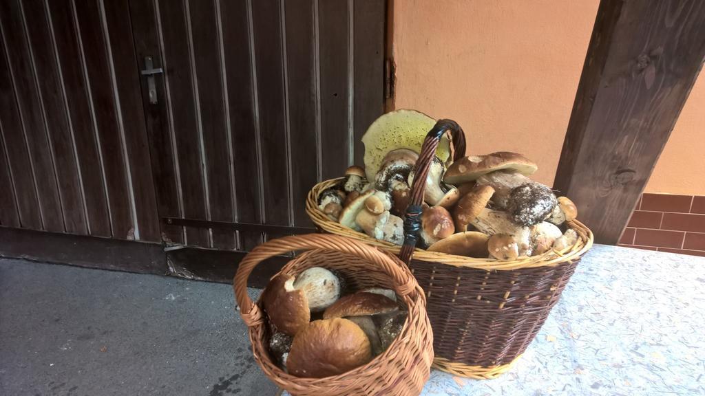 Penzion Jizerka Яблонец над Нисоу Екстериор снимка